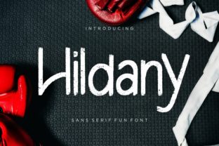 Hildany: A Font That Adds Joy to Every Project